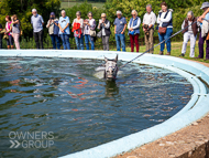 PH020922-104 - Guernesey swimming